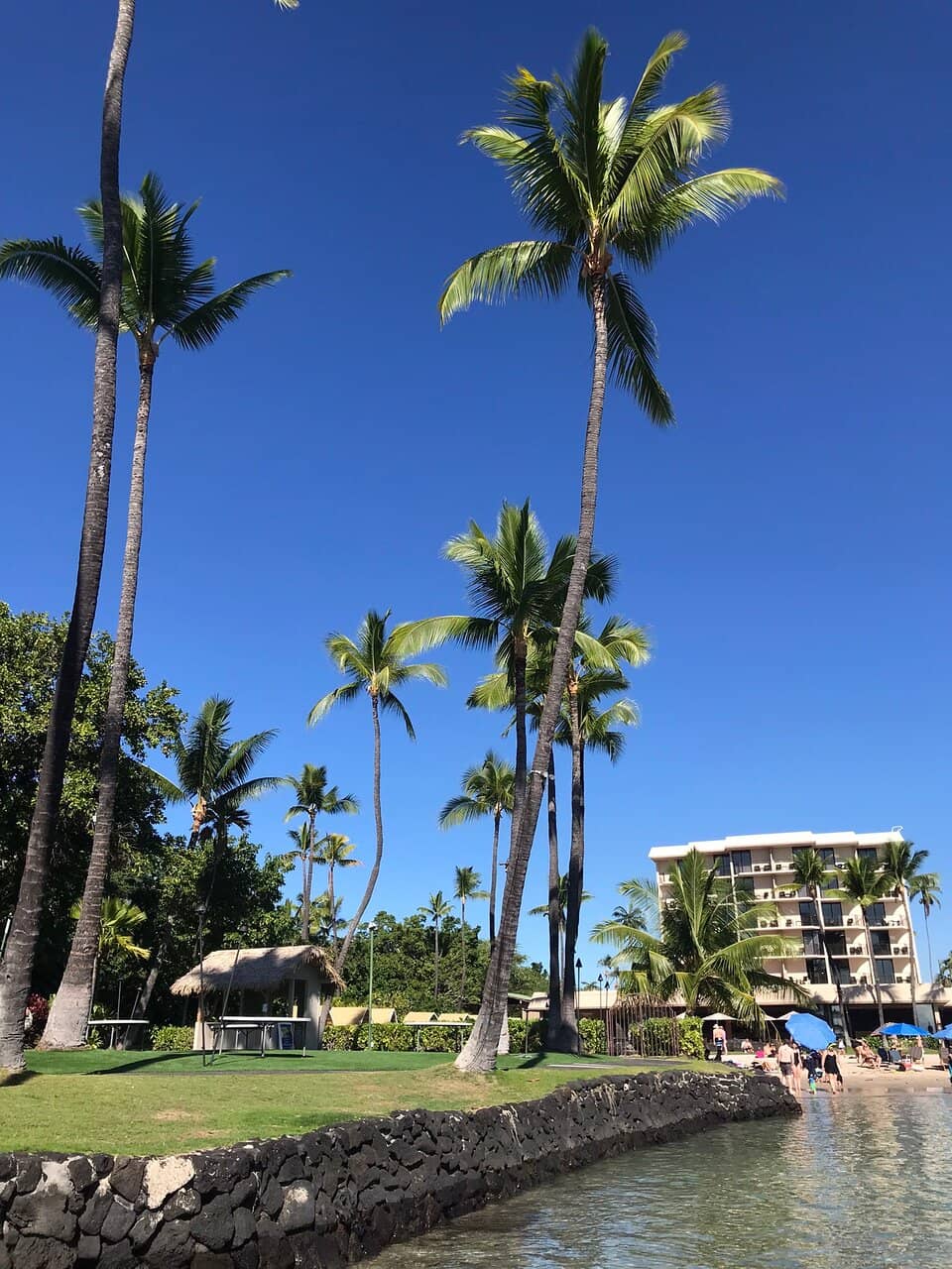 Queen Liliuokalani Canoe Race