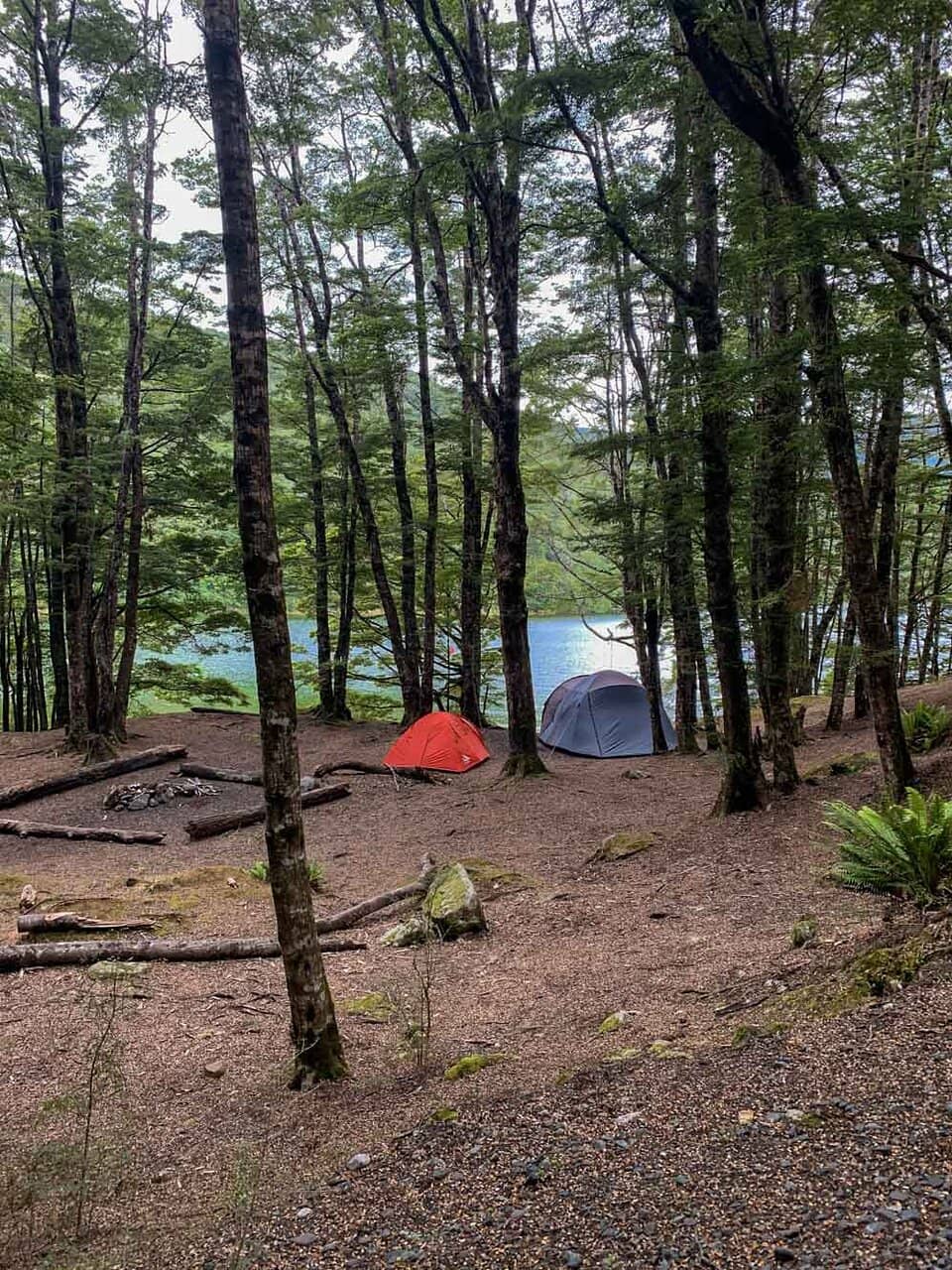 Bushwalking Adventures