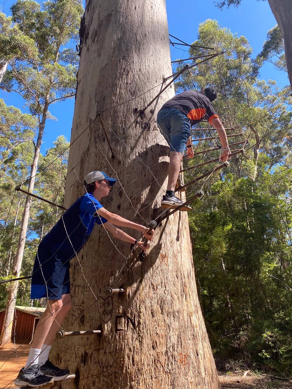 Forest Arboretum Walk