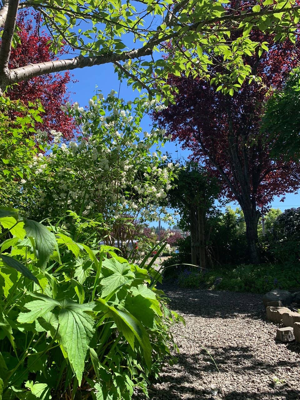 Specialty Foods & Drinks