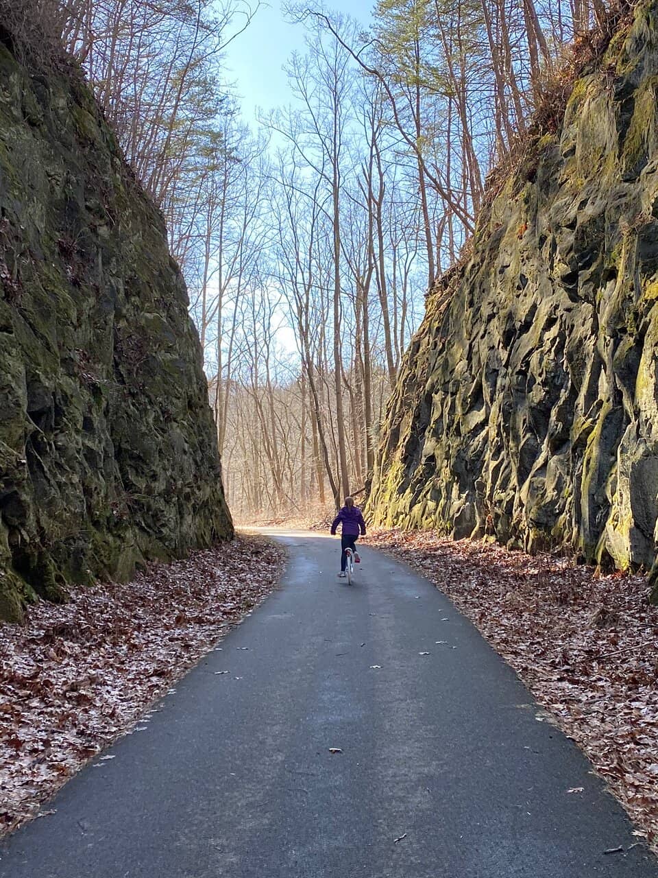 Fossil & Rock Hunting