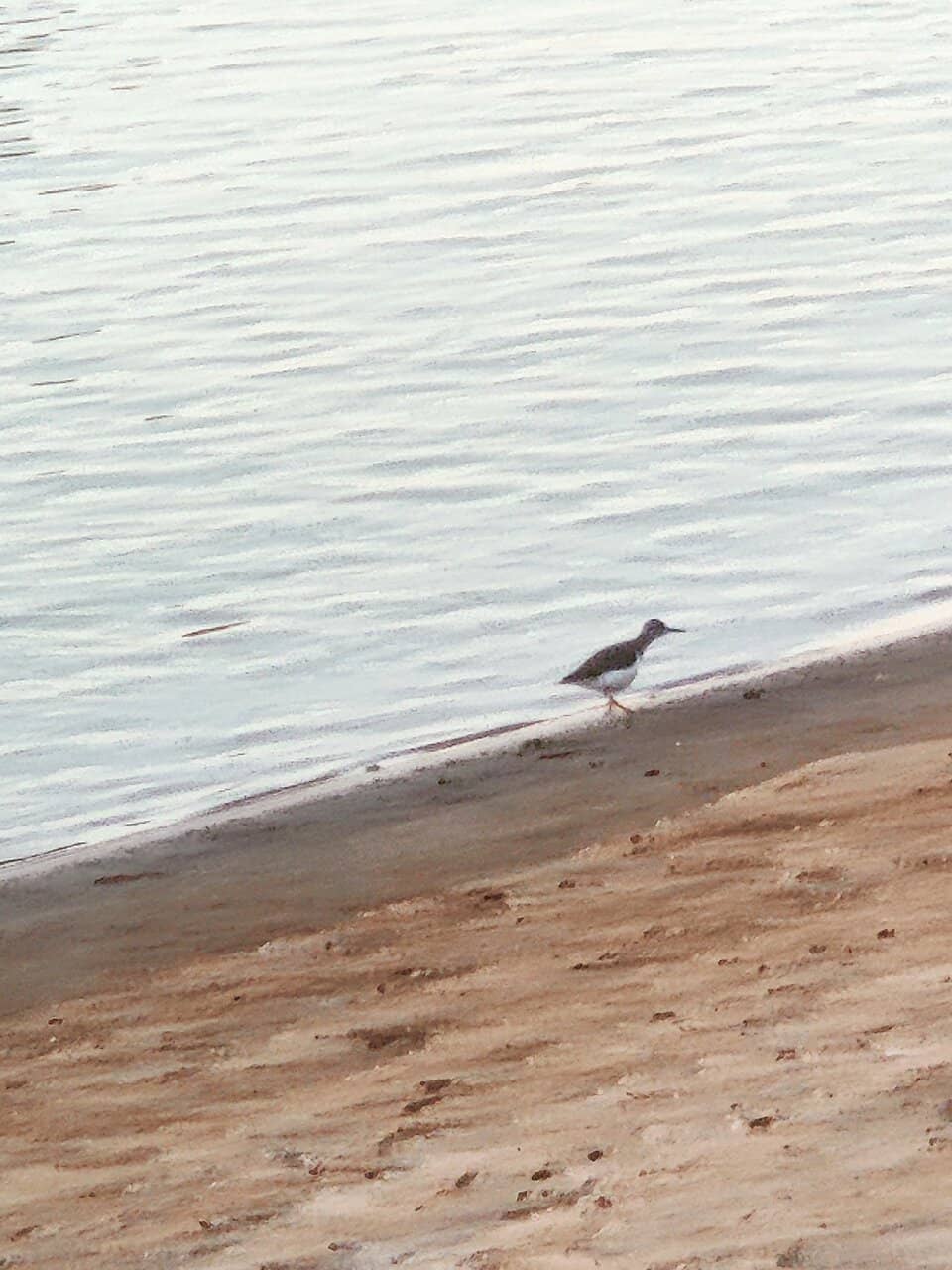 Col. Rowe Bike Trail Access