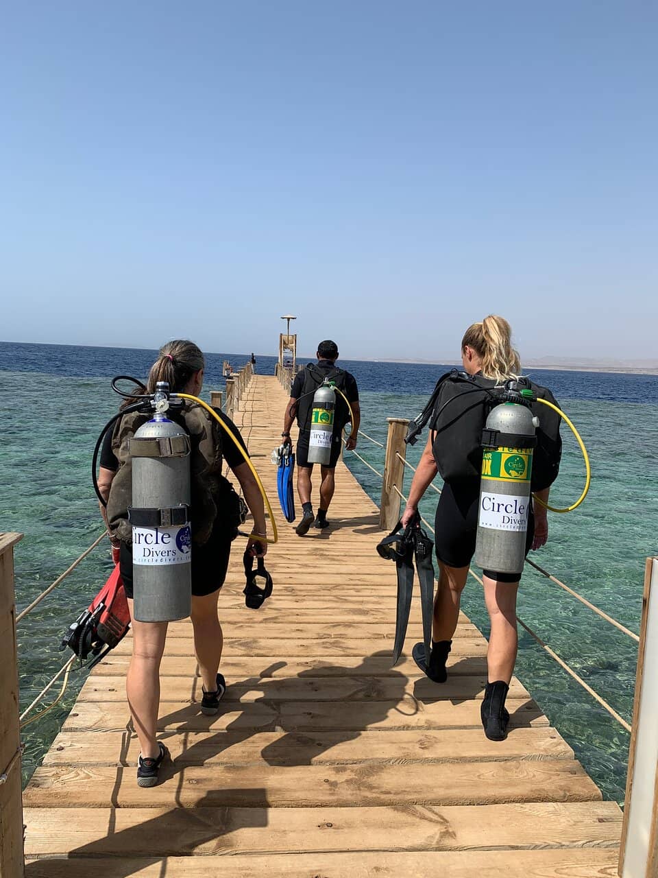 Vibrant Coral Gardens