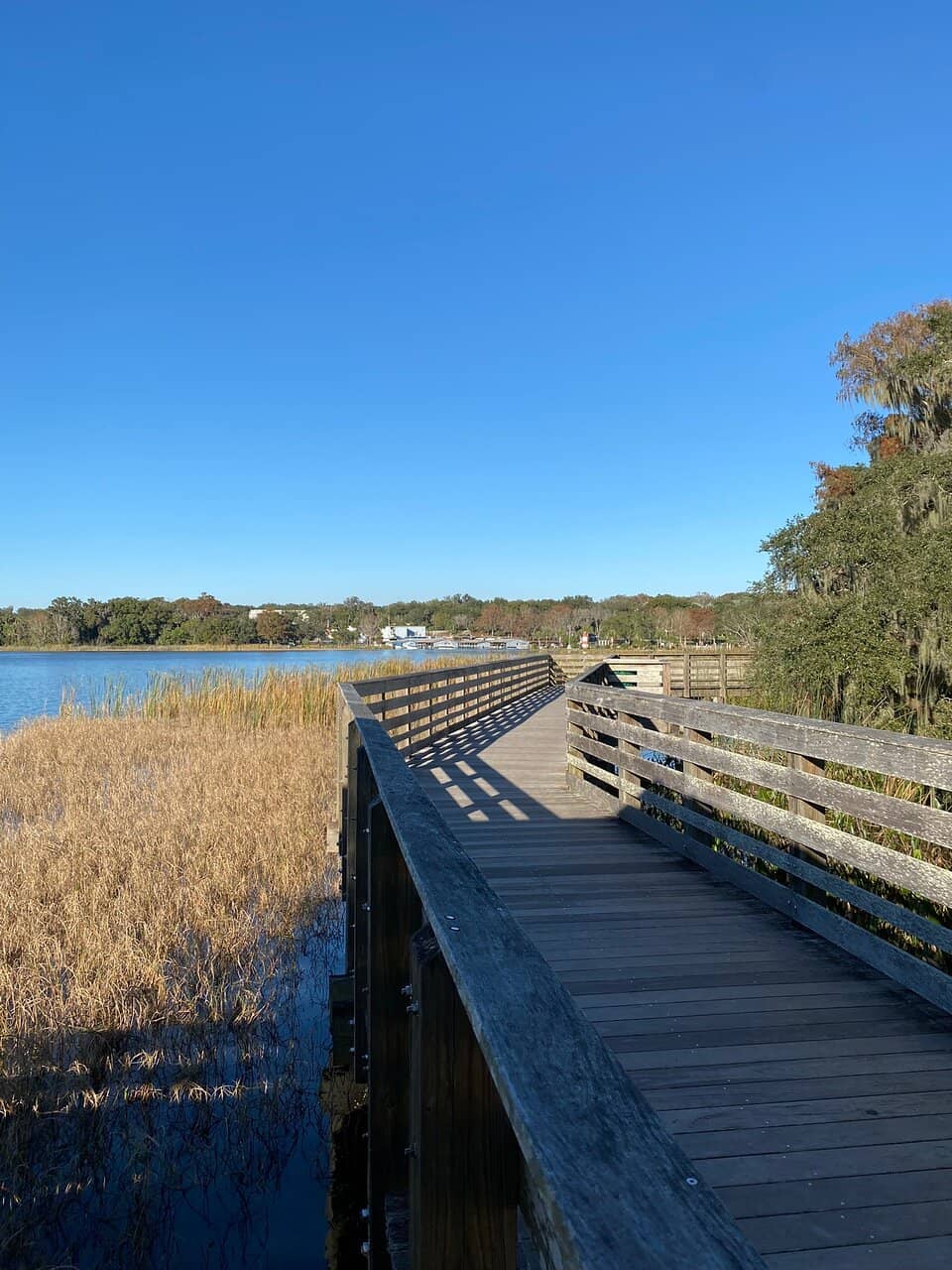 Nature Trails