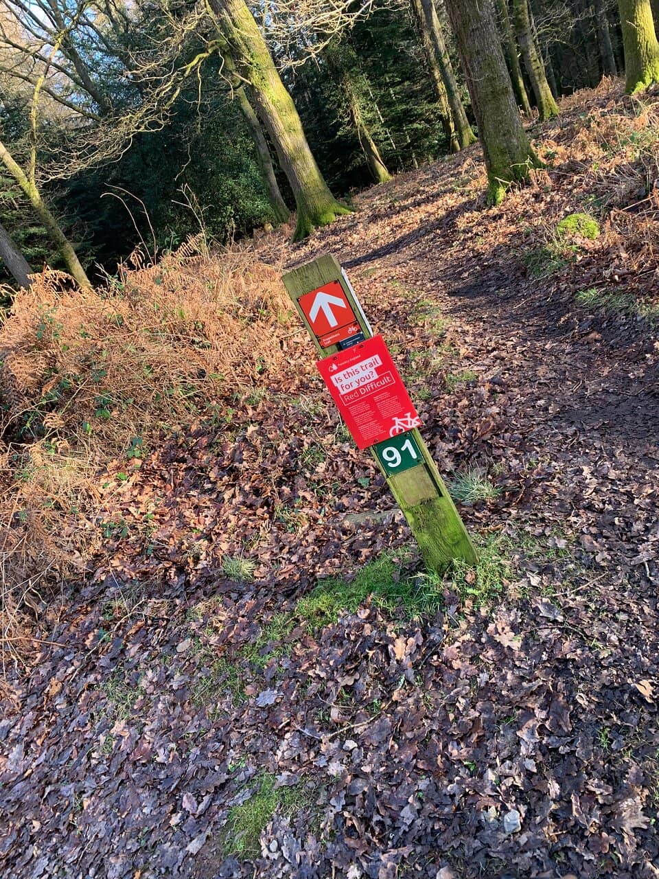 Old Bob's Trail (Green)