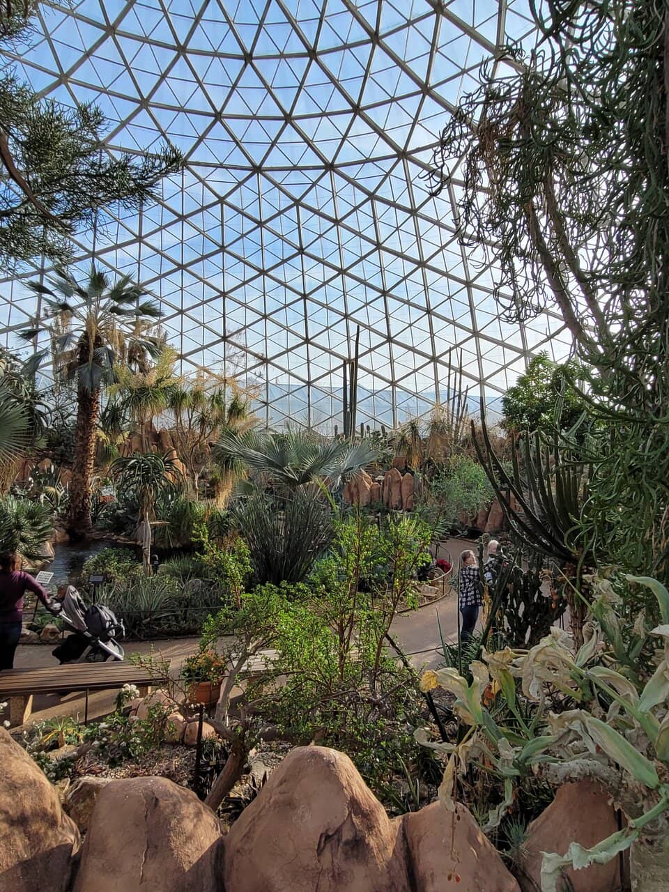 Desert Dome