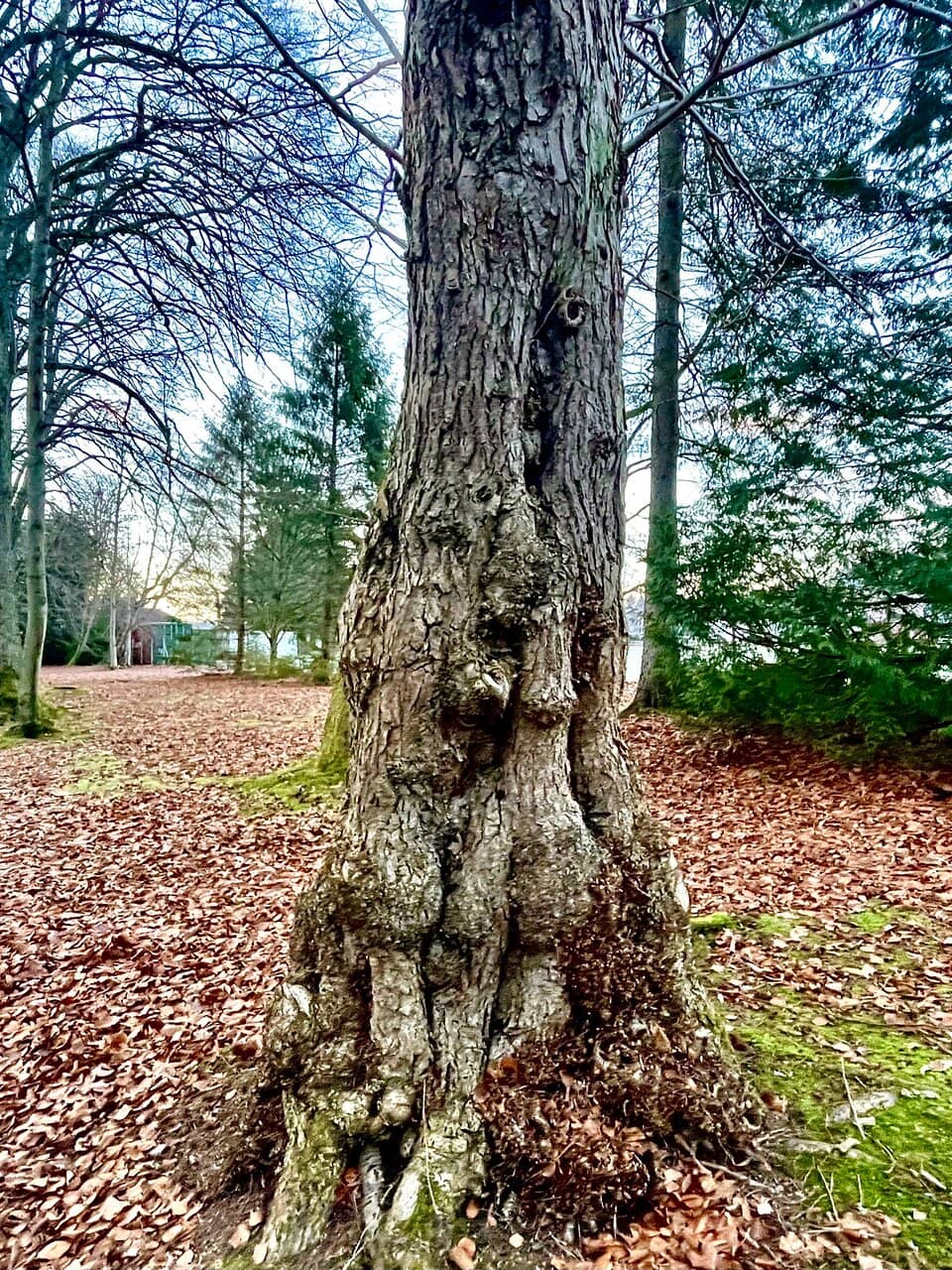 Vertical photo