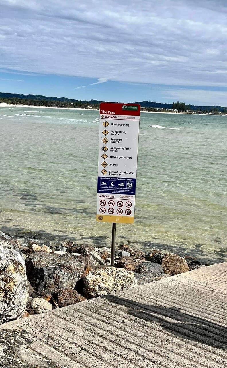 Dolphin & Whale Watching