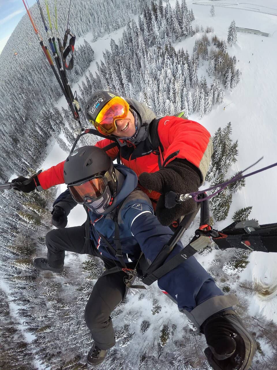 Tranquil Nature Immersion