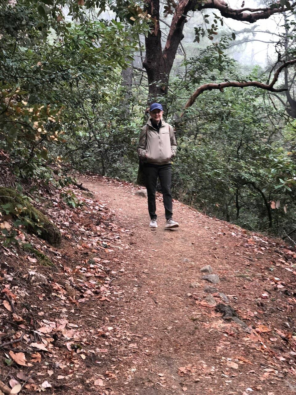 Mount Saint Helena Summit