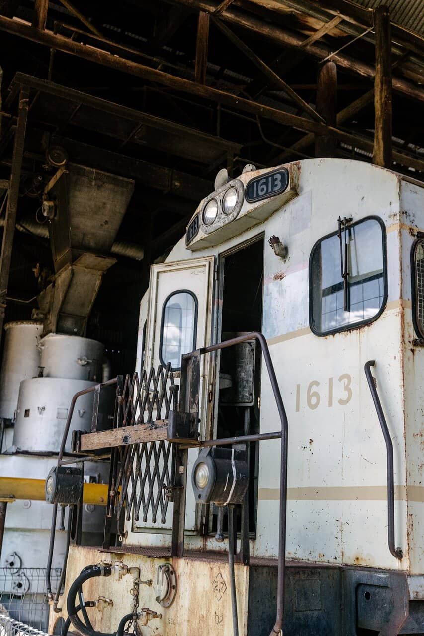 Social History Displays