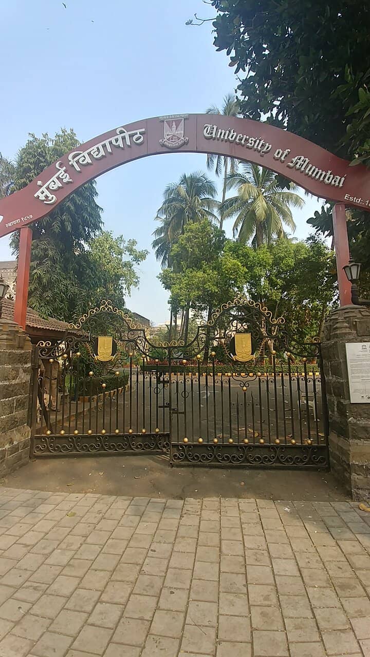 University Library Interior