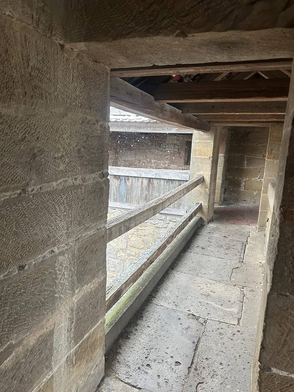 Vertical photo
