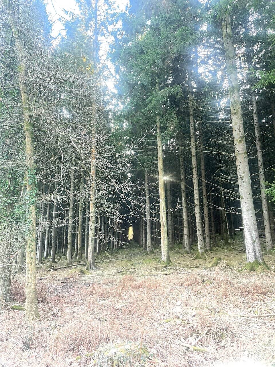 Vertical photo