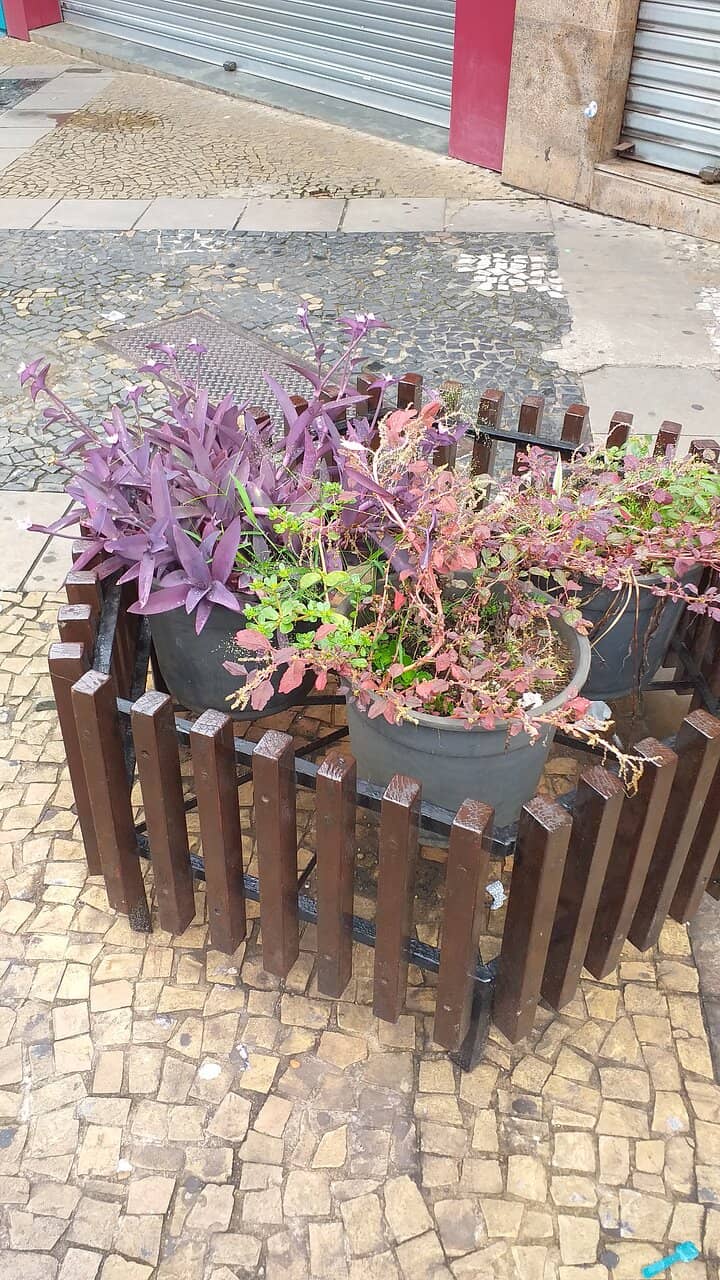 Bustling Shopping Streets