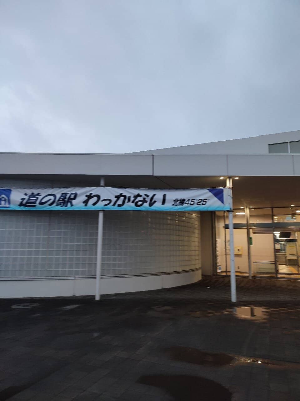 Pokemon Manhole Cover