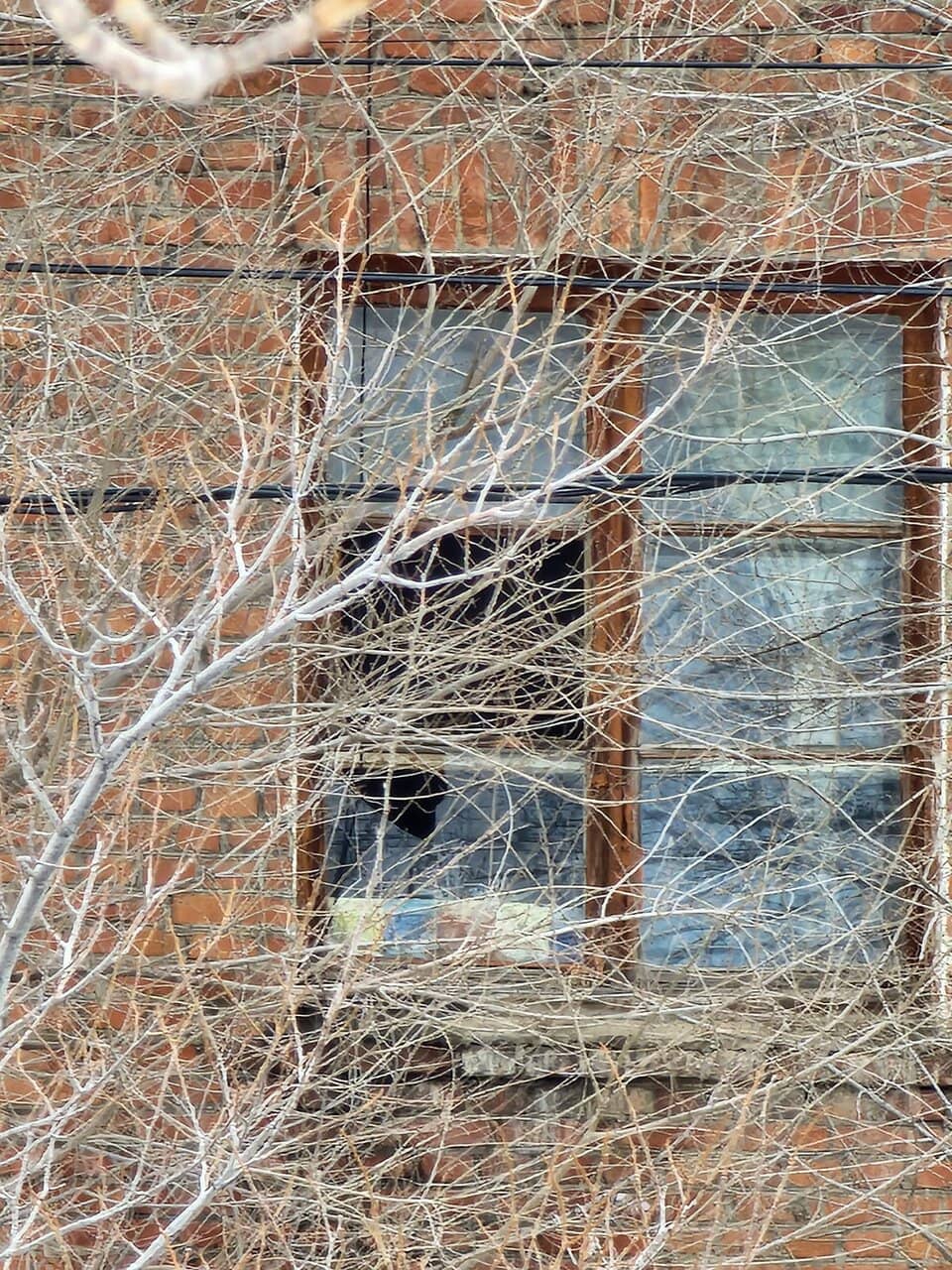 Mass Graves