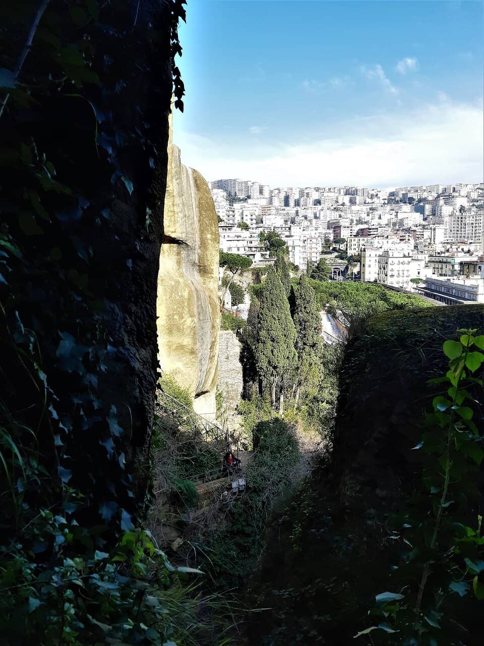 Vertical photo