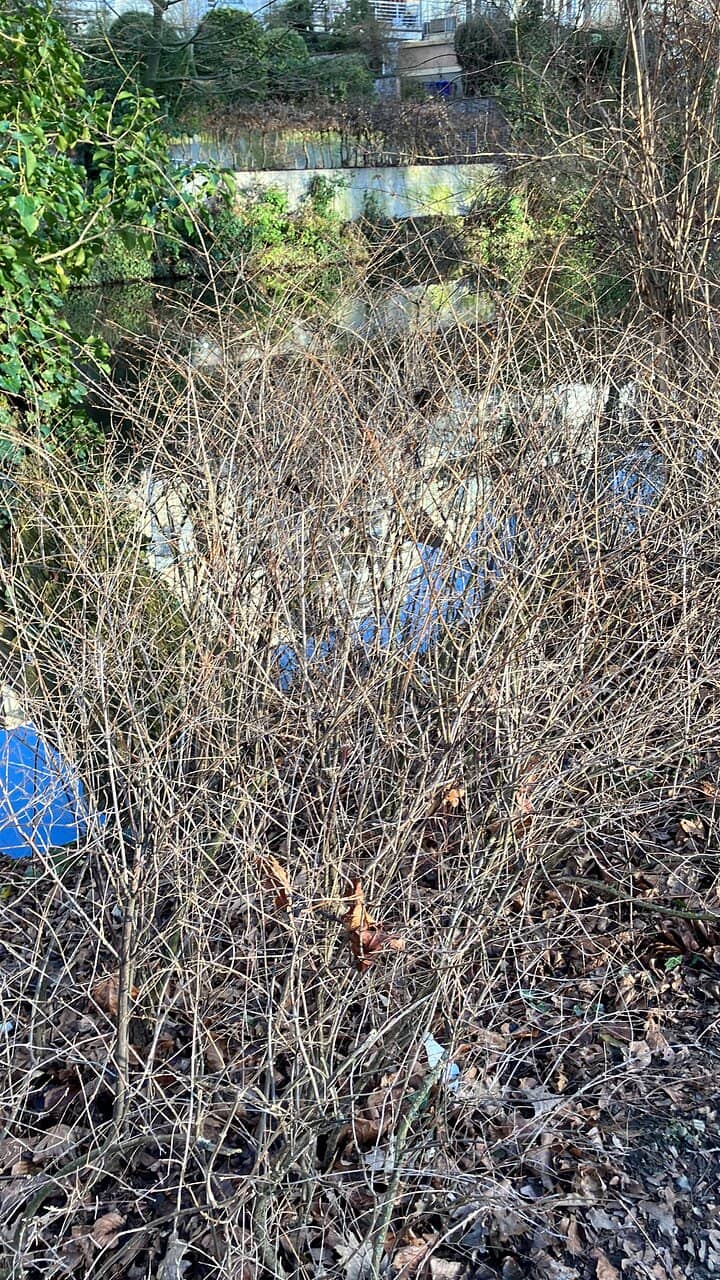 Science Meets Art Exhibits