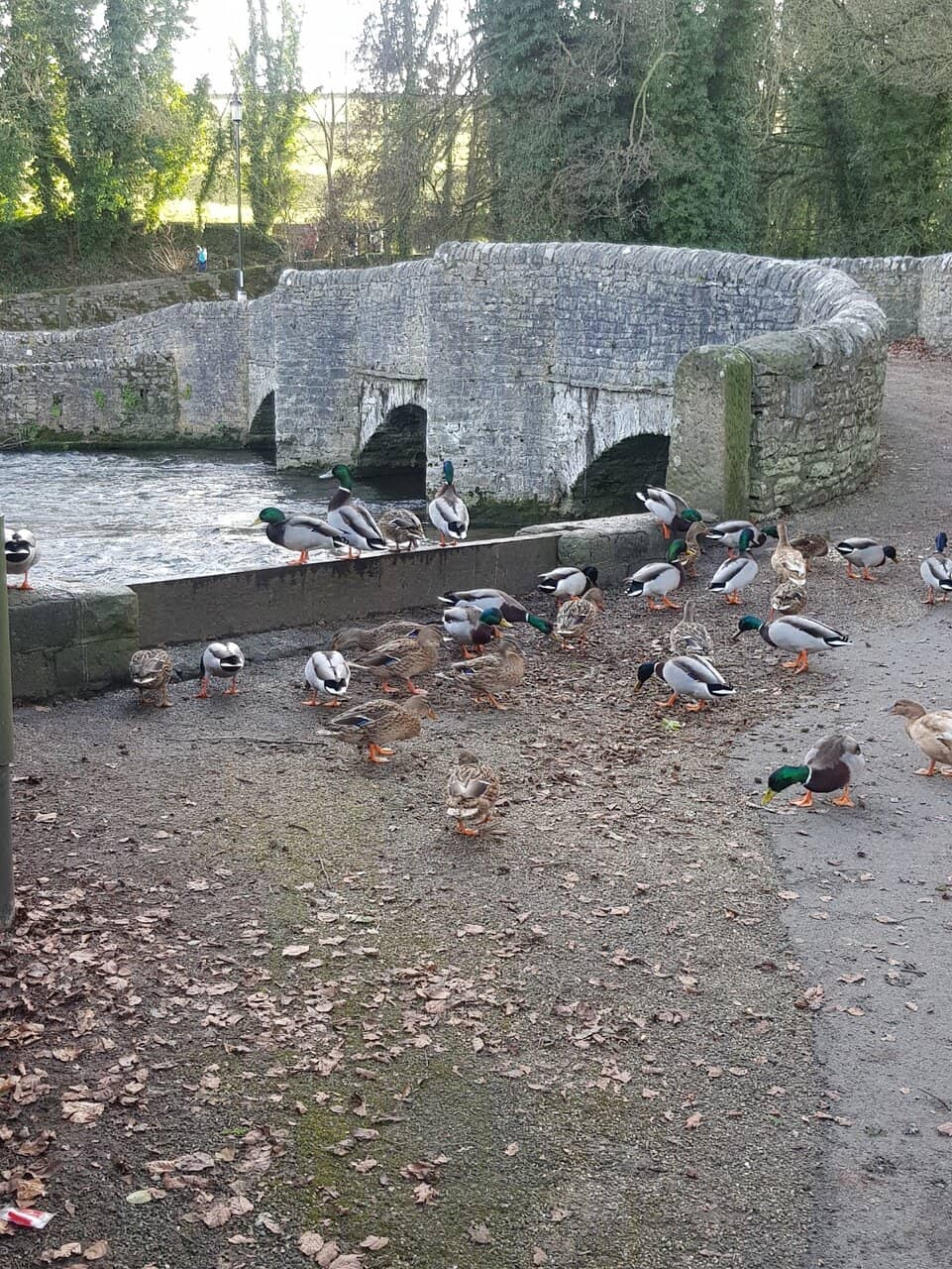 Picnic by the River