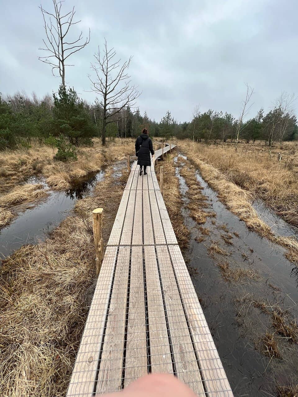 Plankenpad Boardwalk