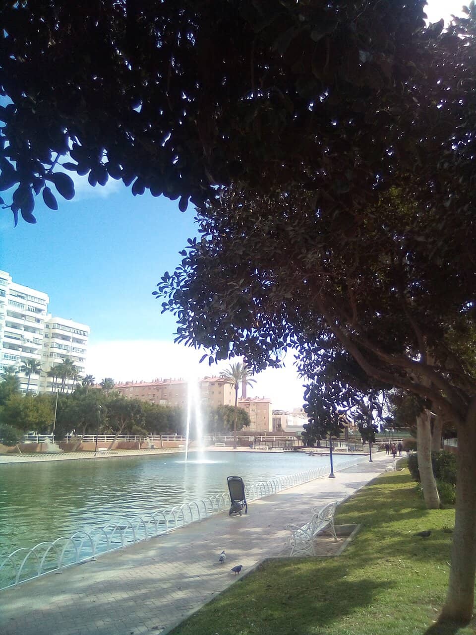 Community Talent Shows