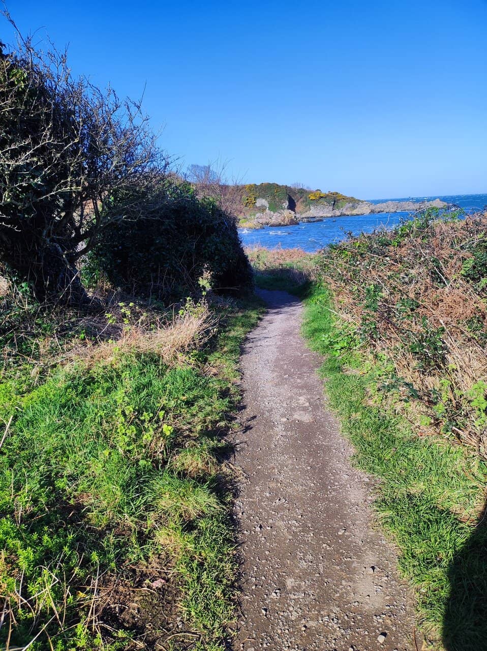 Dramatic Coastal Views