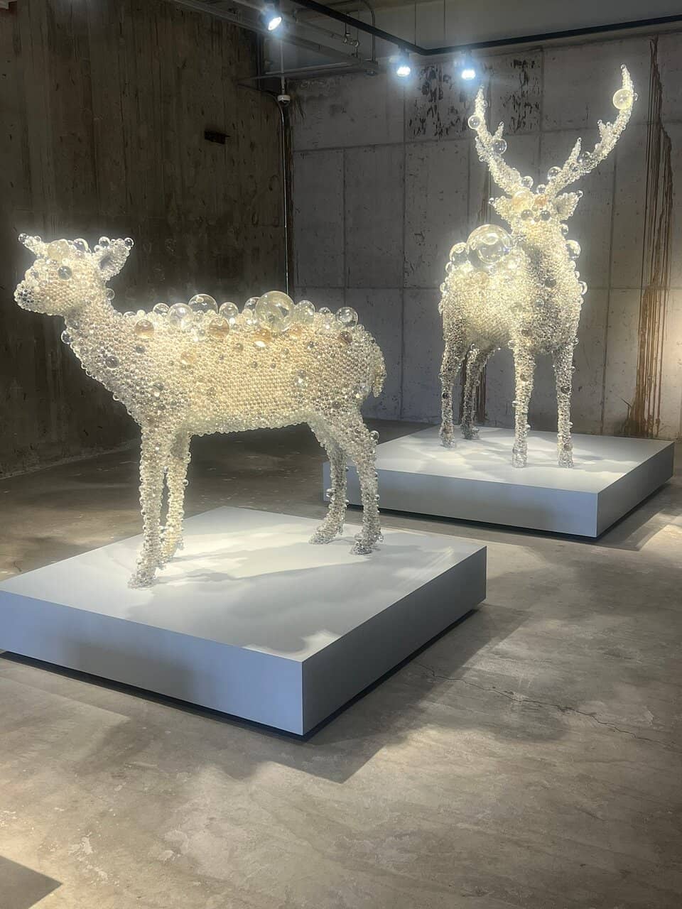 The Concrete Wall Canvas