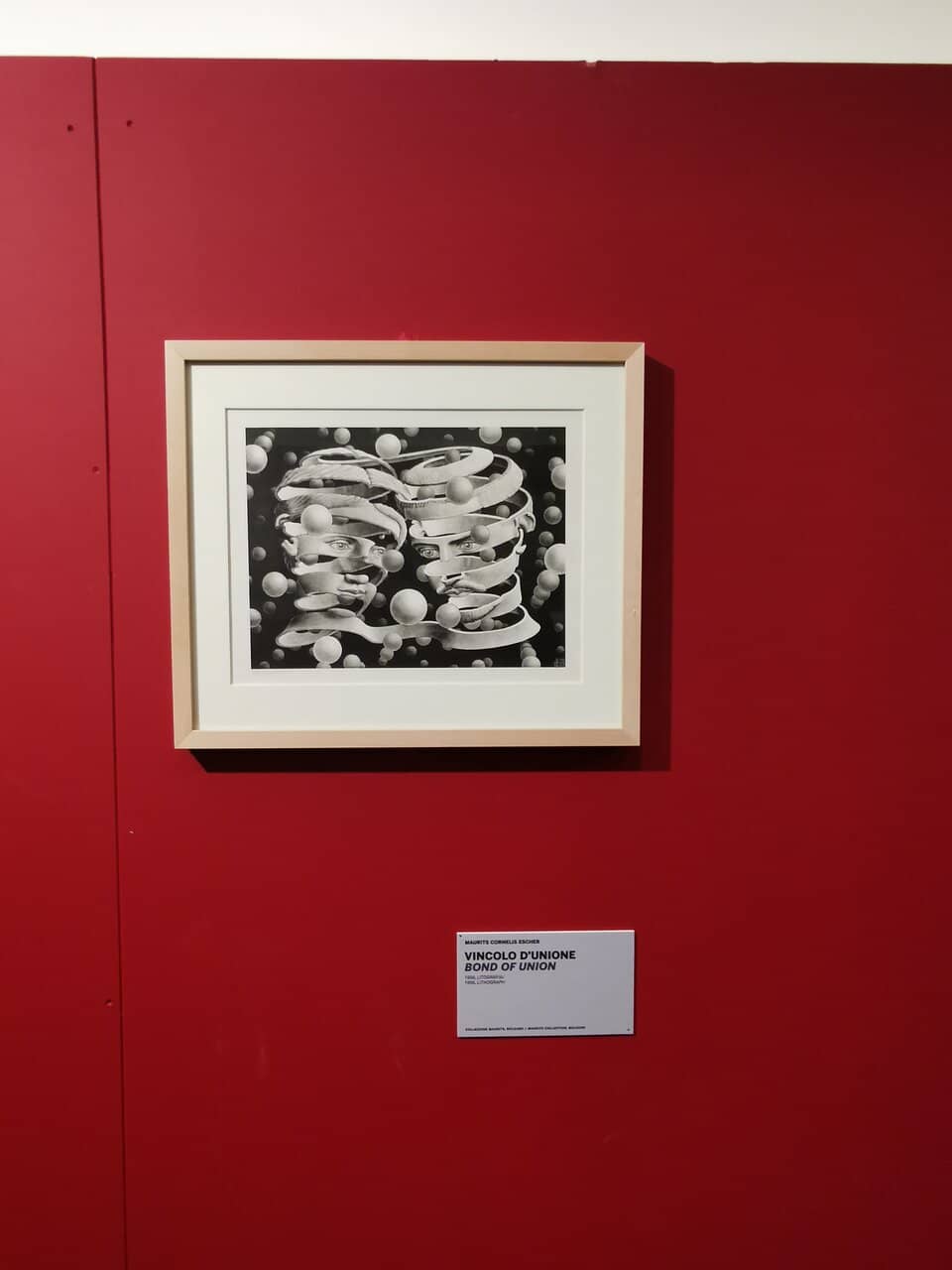 Galleria degli Affreschi