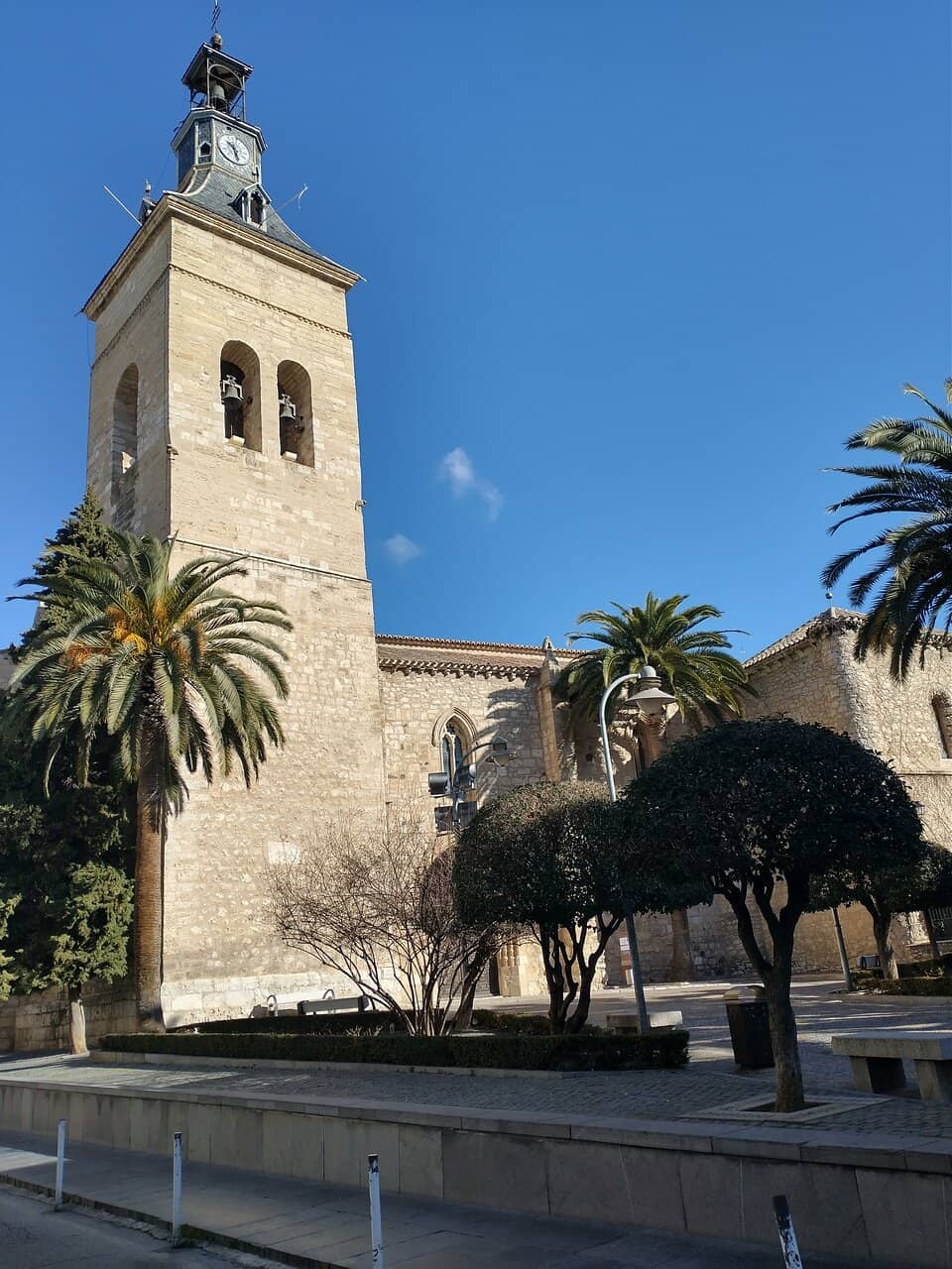 Vertical photo