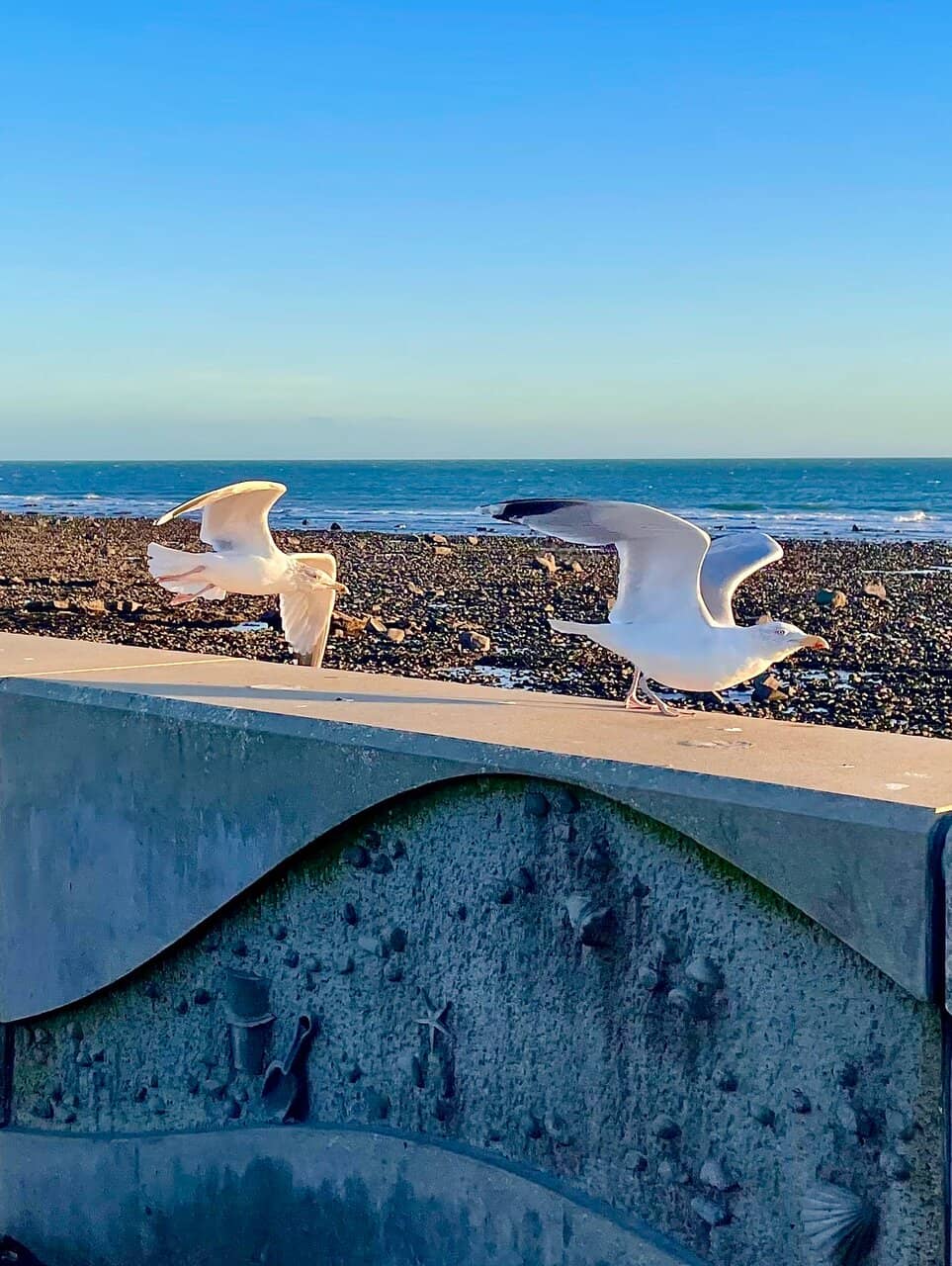 Coastal Beach Access