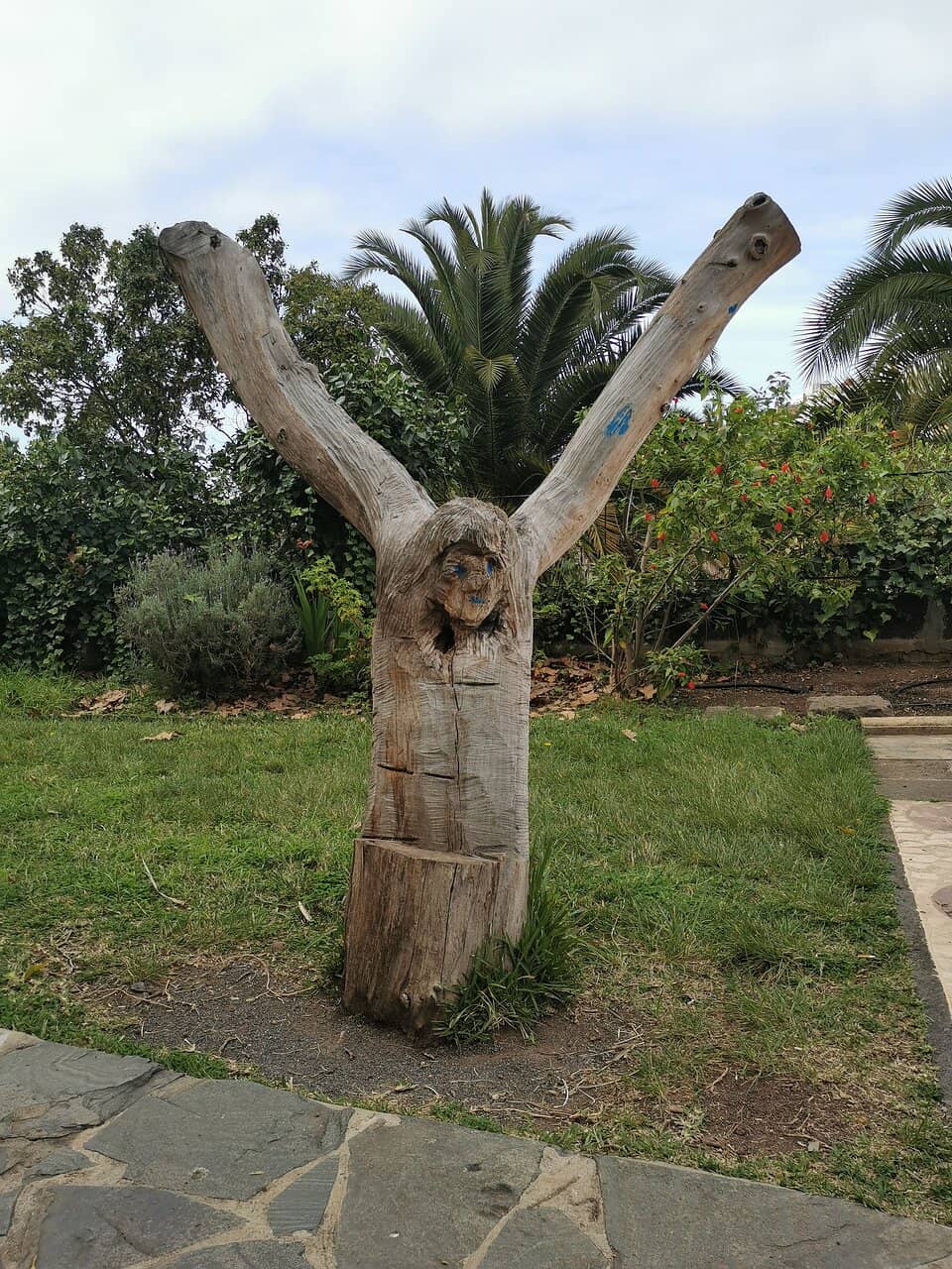 Sculptural Serenity