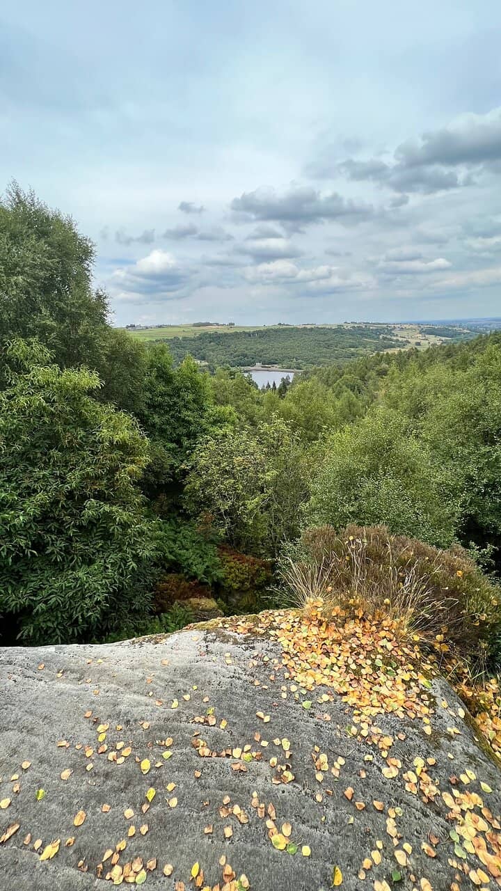 River Derwent Walk