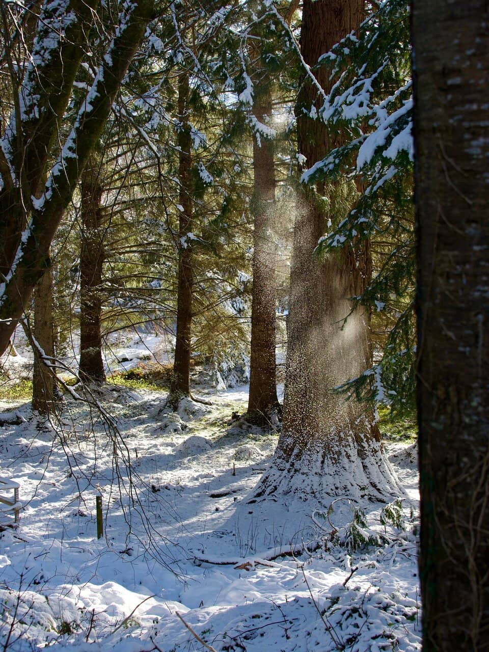 Vertical photo