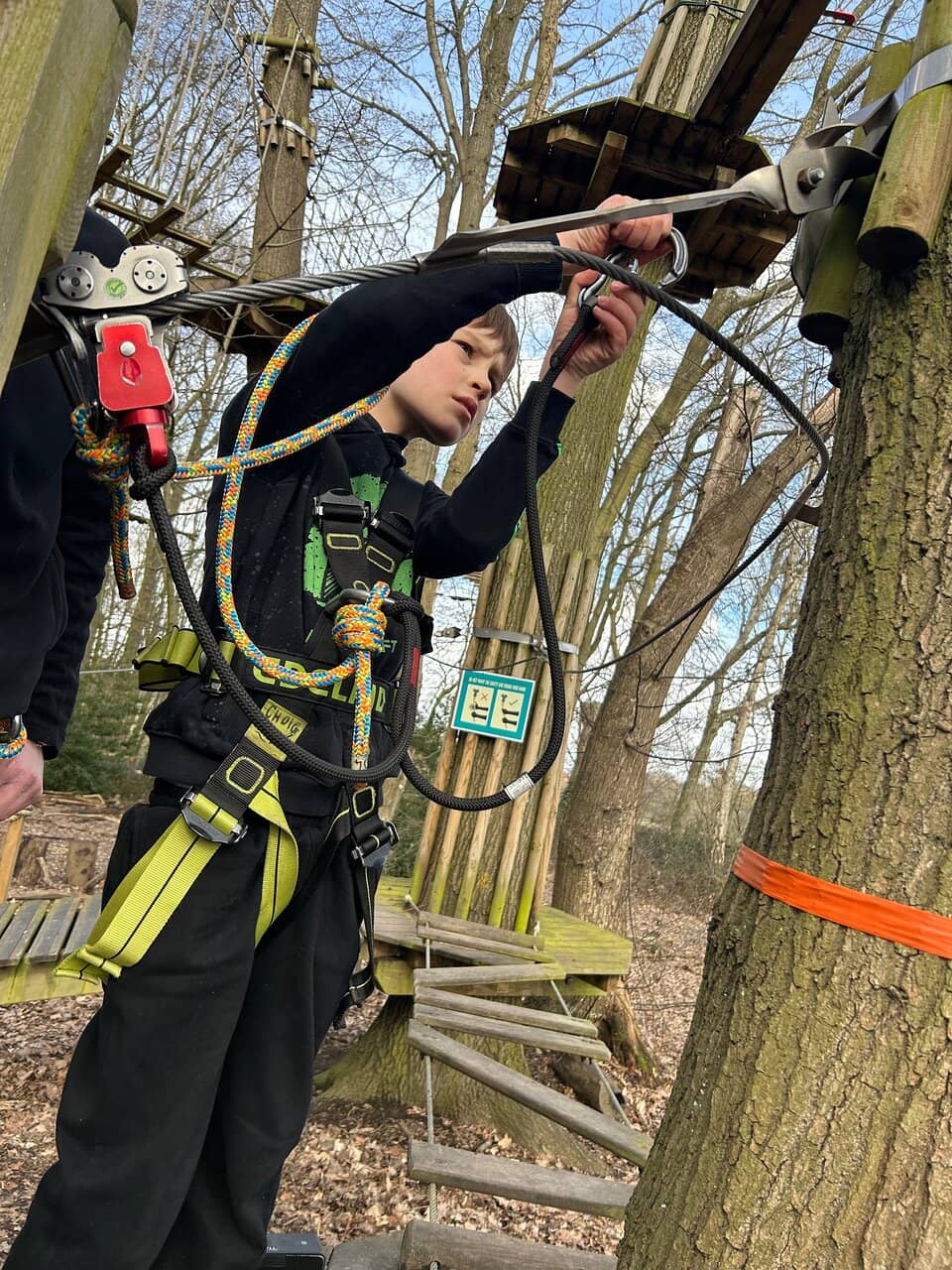 Treetop Challenge