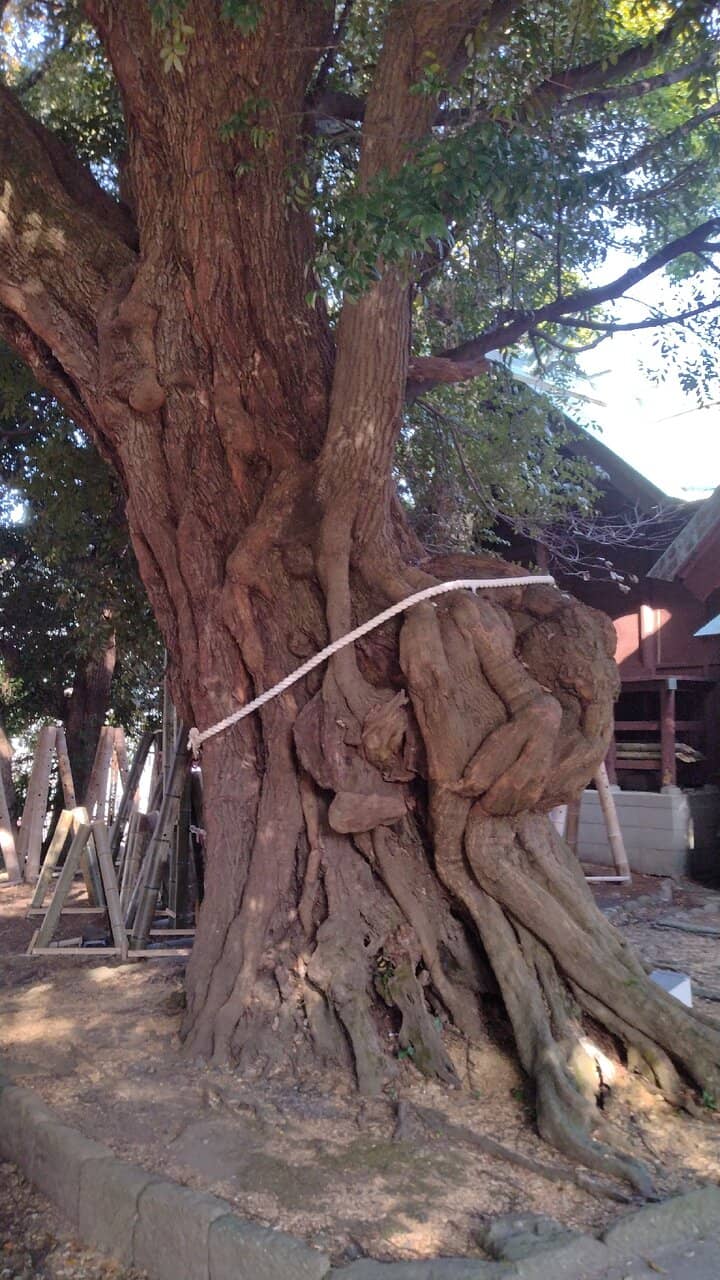 Princess Yae's Story