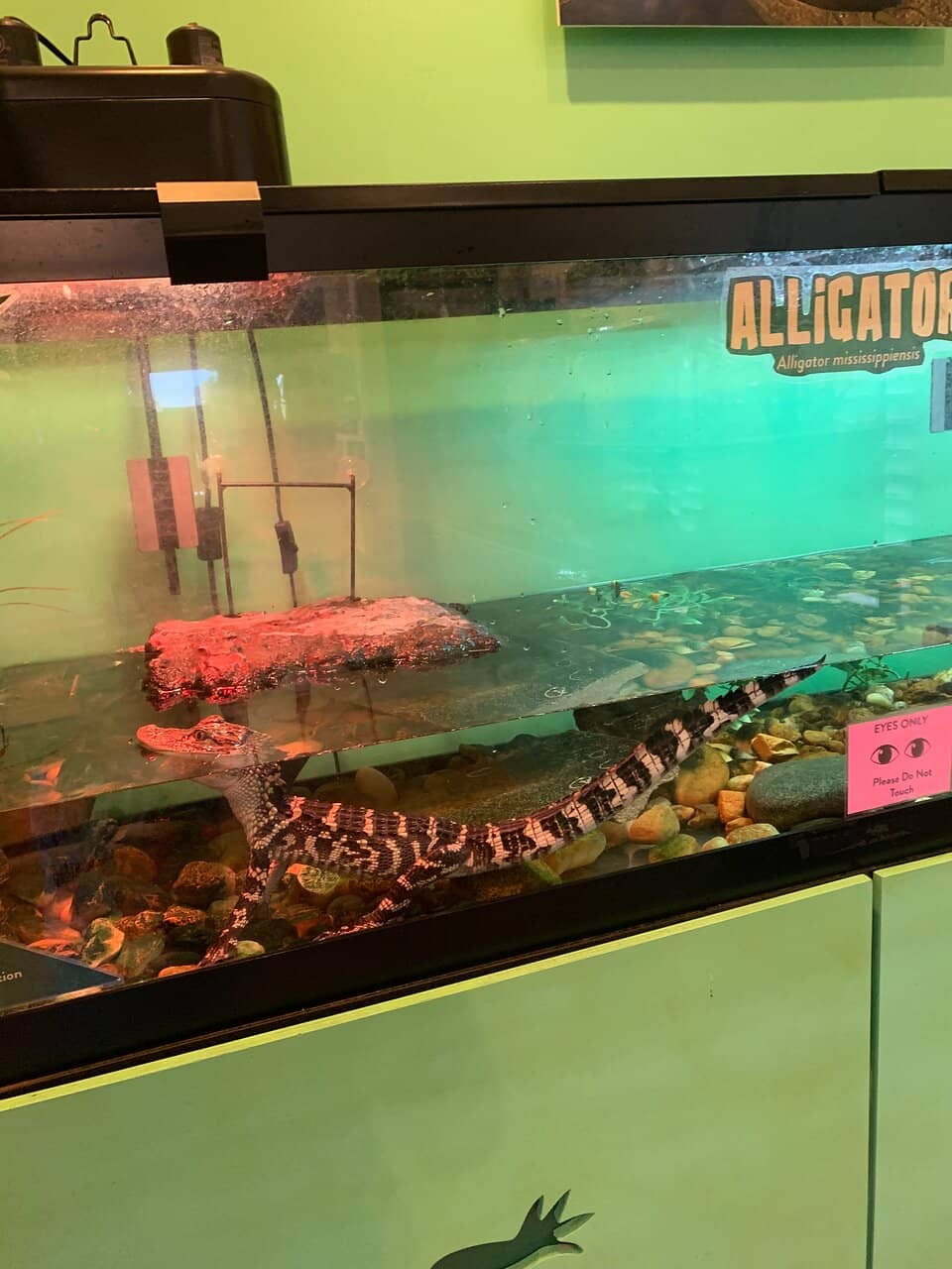 Touch Tanks