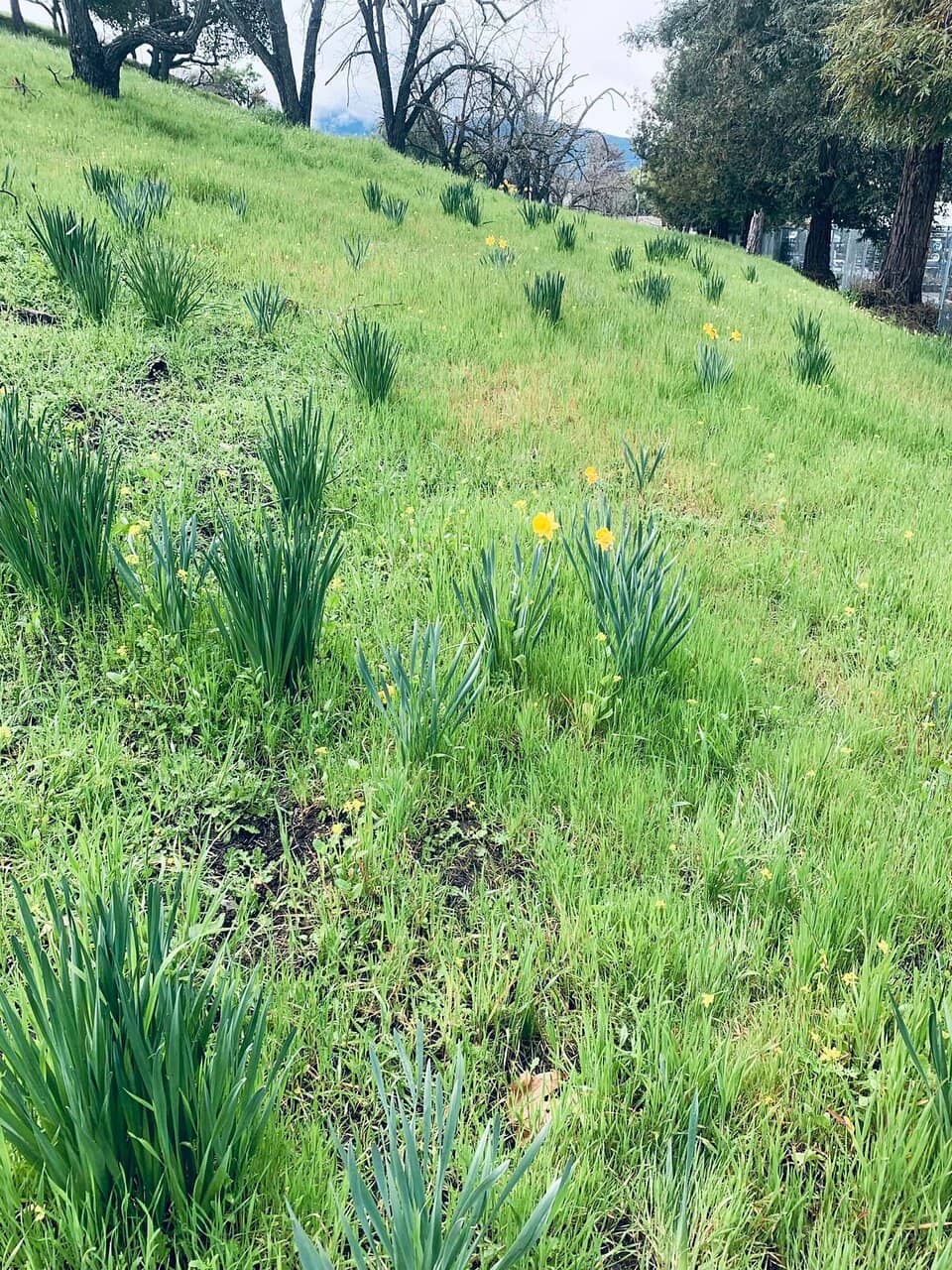 Lake Loop Trail