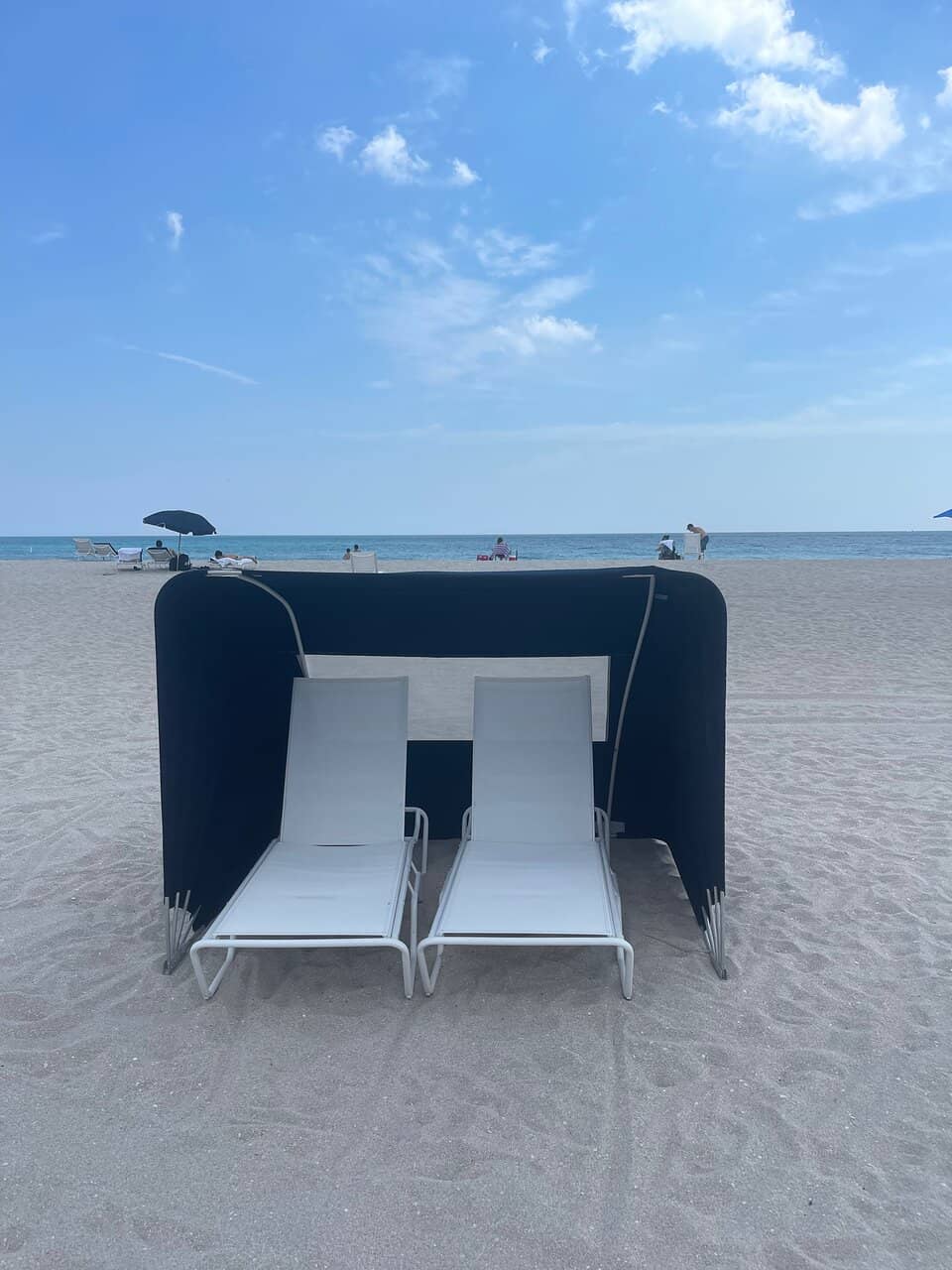 Marine Life Sightings