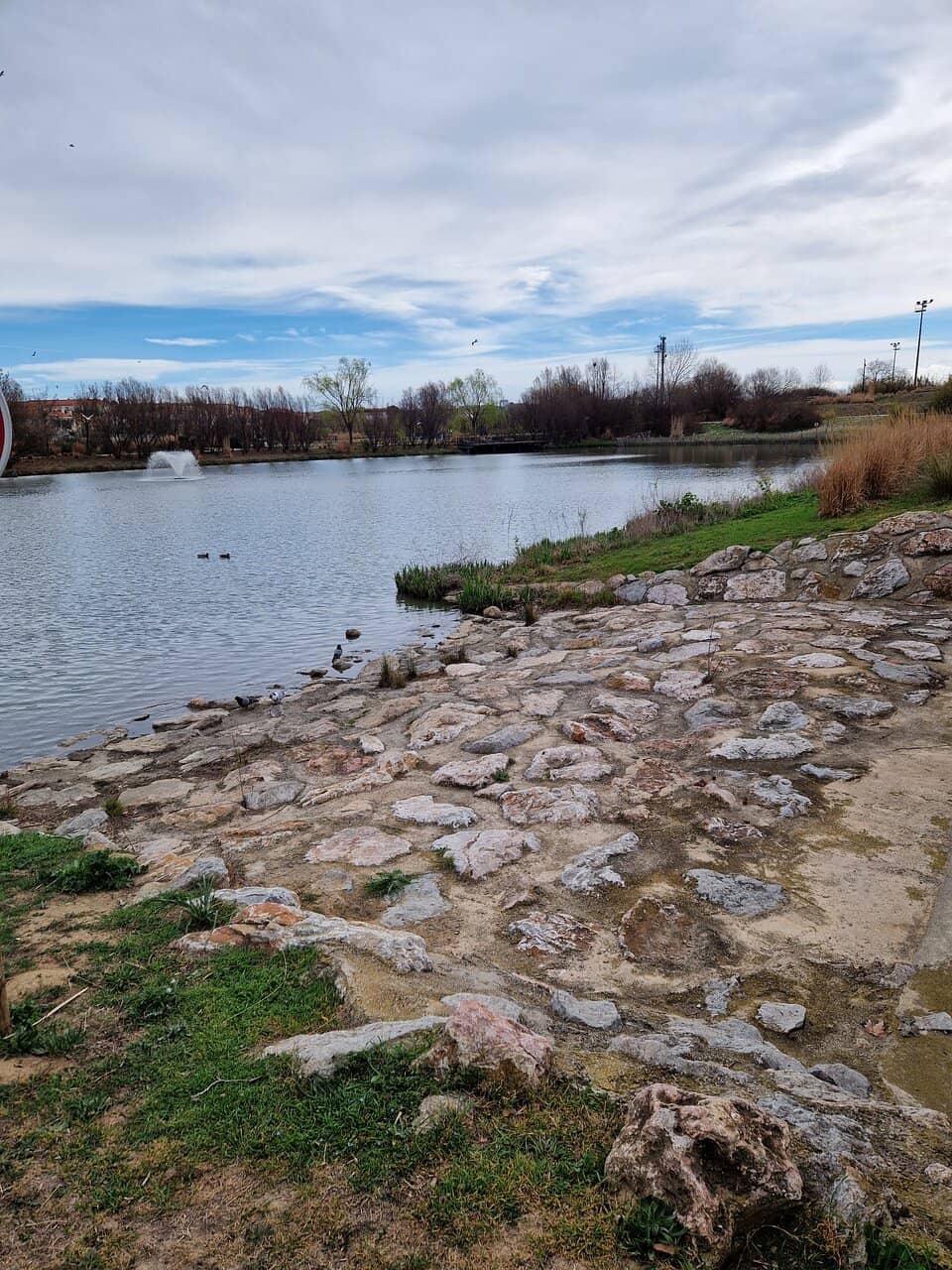 Shaded Walking Paths