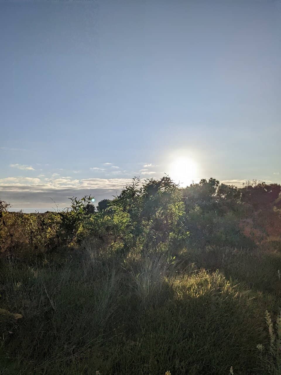 Picnic and Play Areas