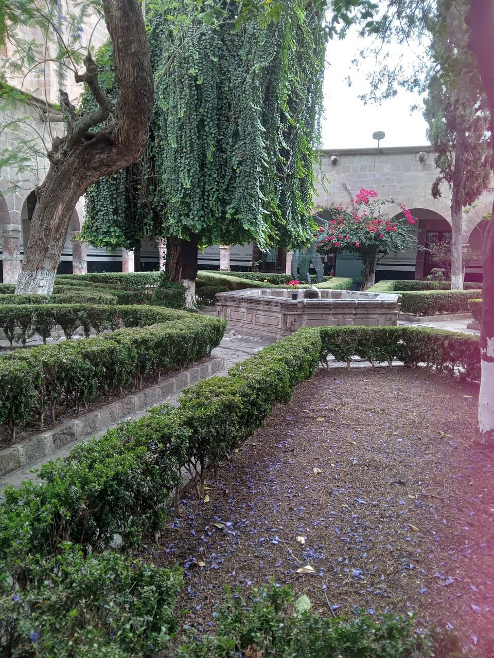 Jardín de las Rosas