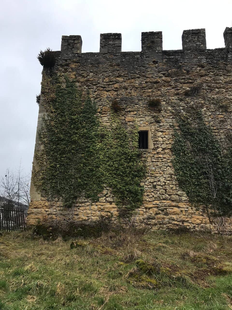 Vertical photo
