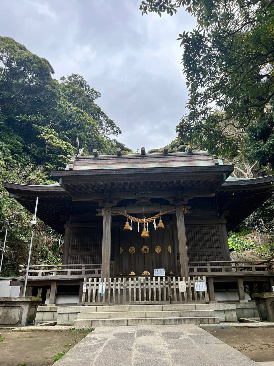 Vertical photo
