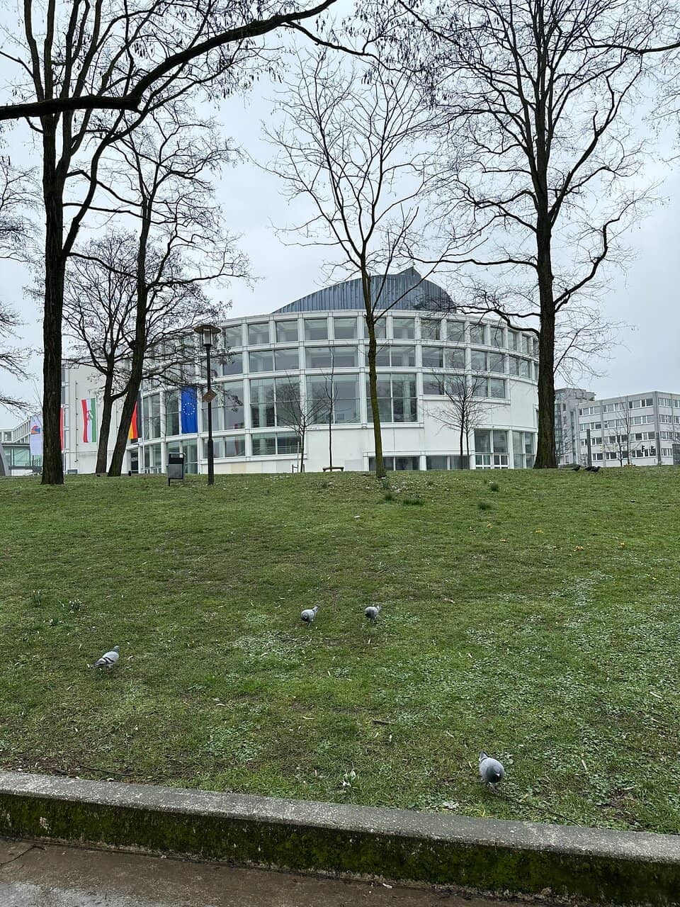 Comedy & Kabarett Shows