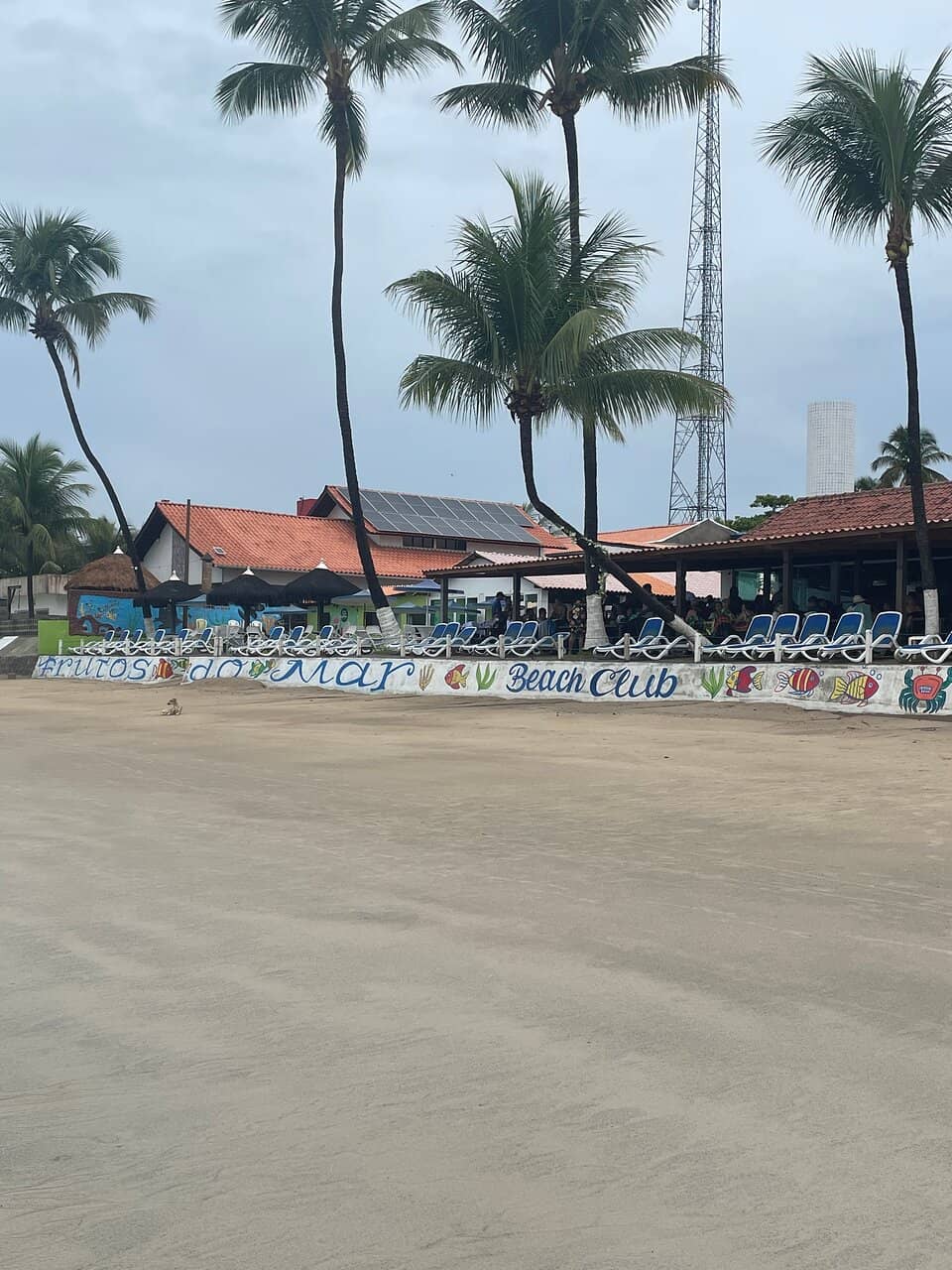 Oceanfront Dining