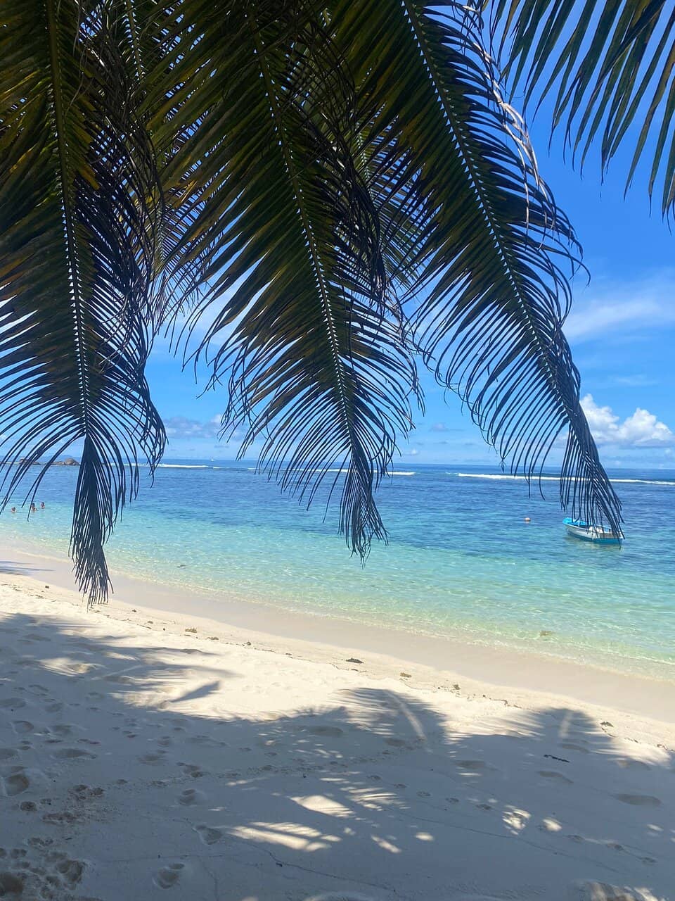 Sea Turtle Nesting Site