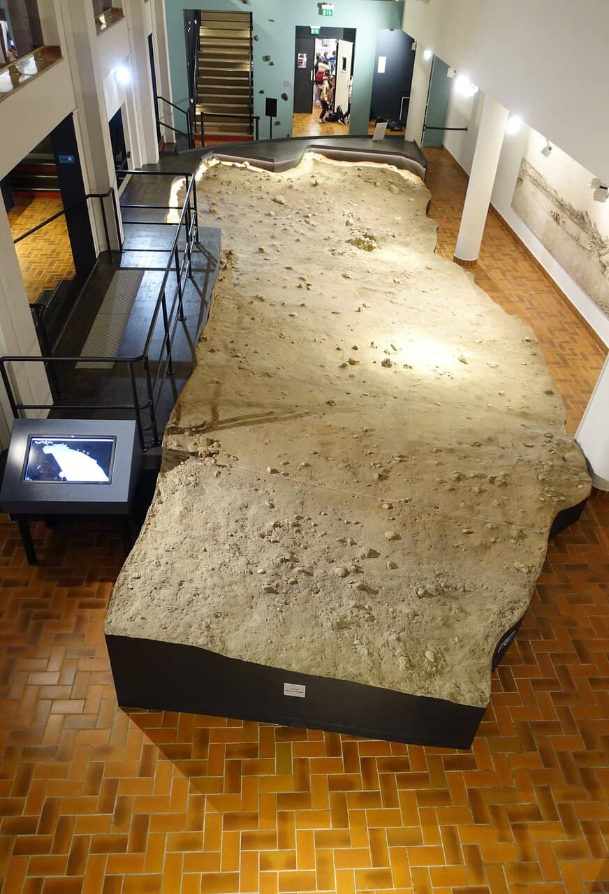 Evolution of Tools and Fire Use