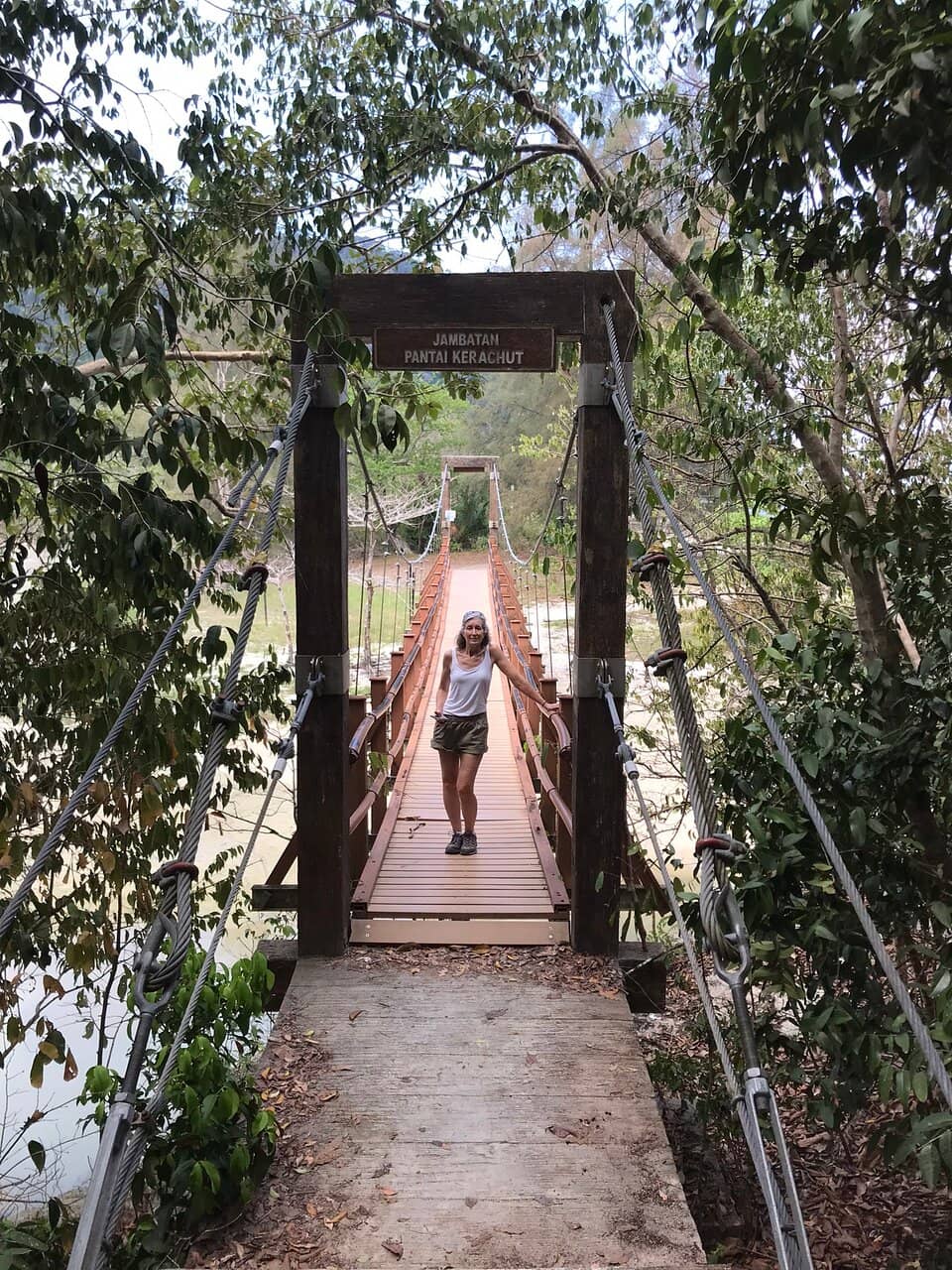 Turtle Conservation & Information Centre