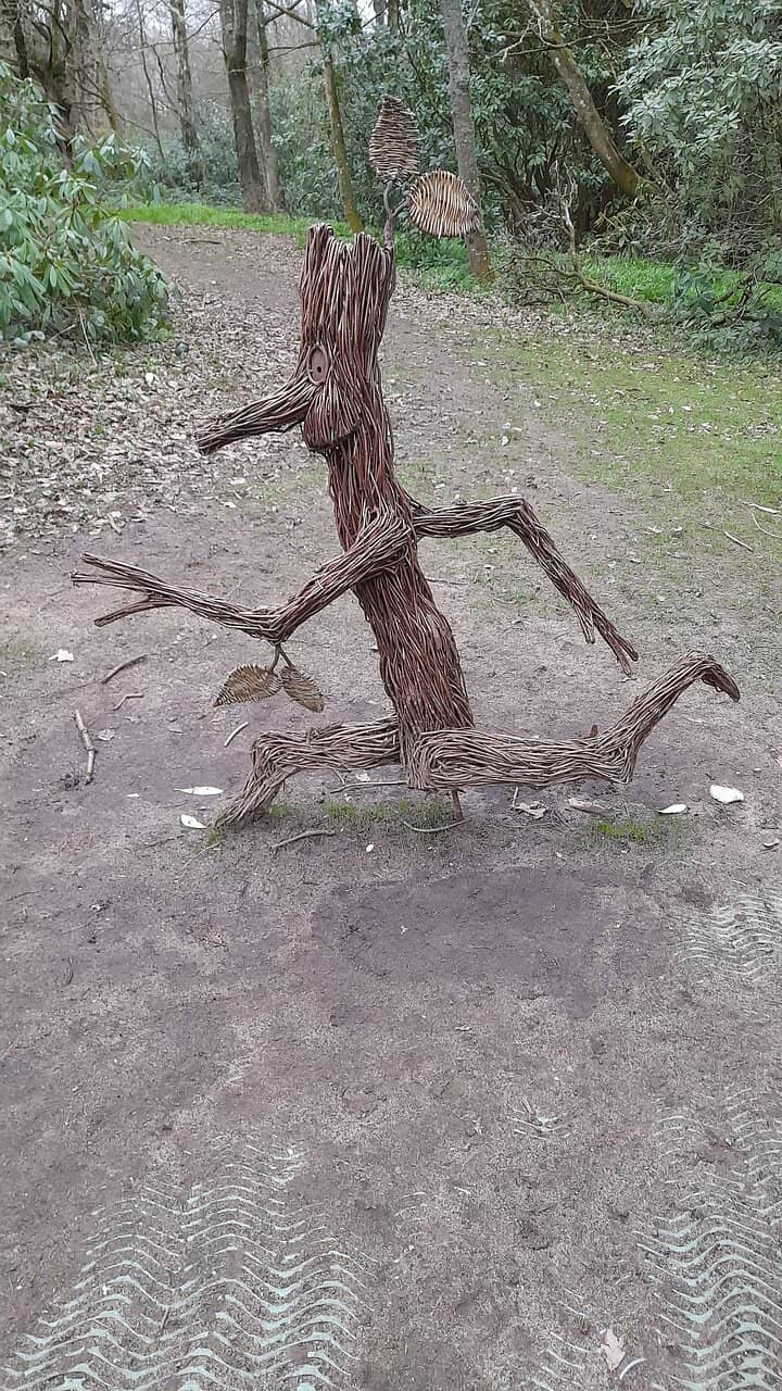 Wildlife Pond